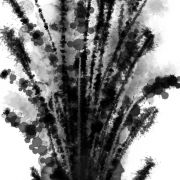 1000 Herbes