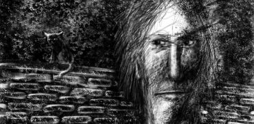 1000 Le chat sur le mur