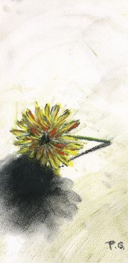 107