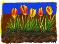 1000 Tulipes