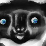 1000 Koala   Esquisse 1