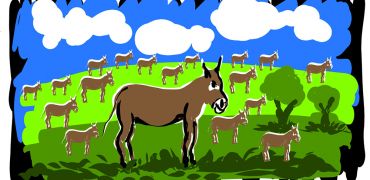 1000 Oies   Dessin 1 13