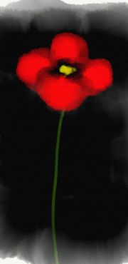 1000 Projete     esquisse 1