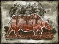 1000 rhino rouge 2