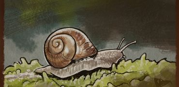 3 10