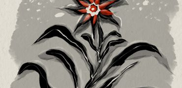 1000 Fleur