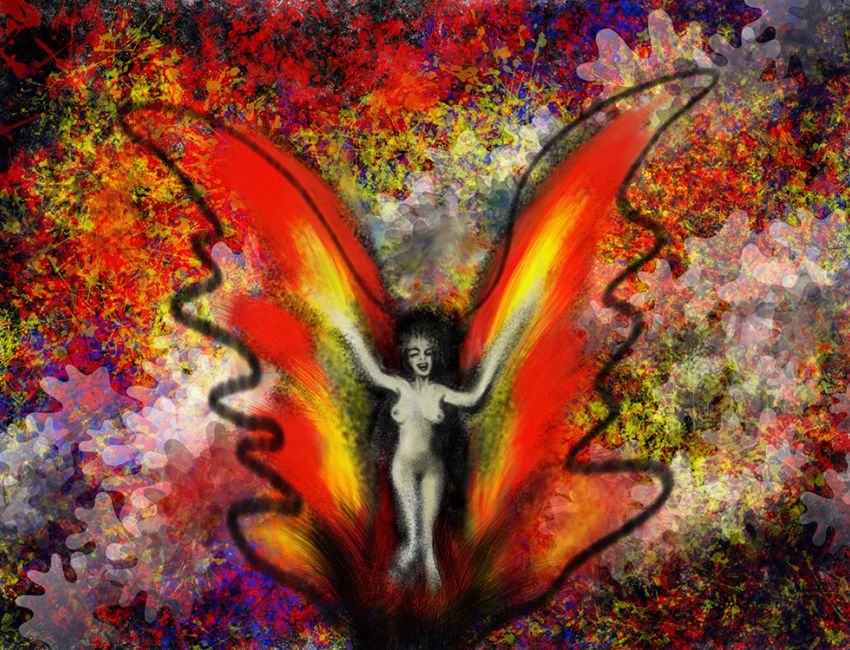 1000 Papillon