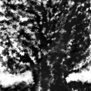 1000 Arbre