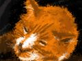 1000 Chat pre  s du feu