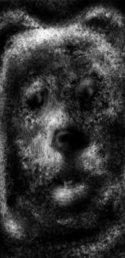 1000 Chien