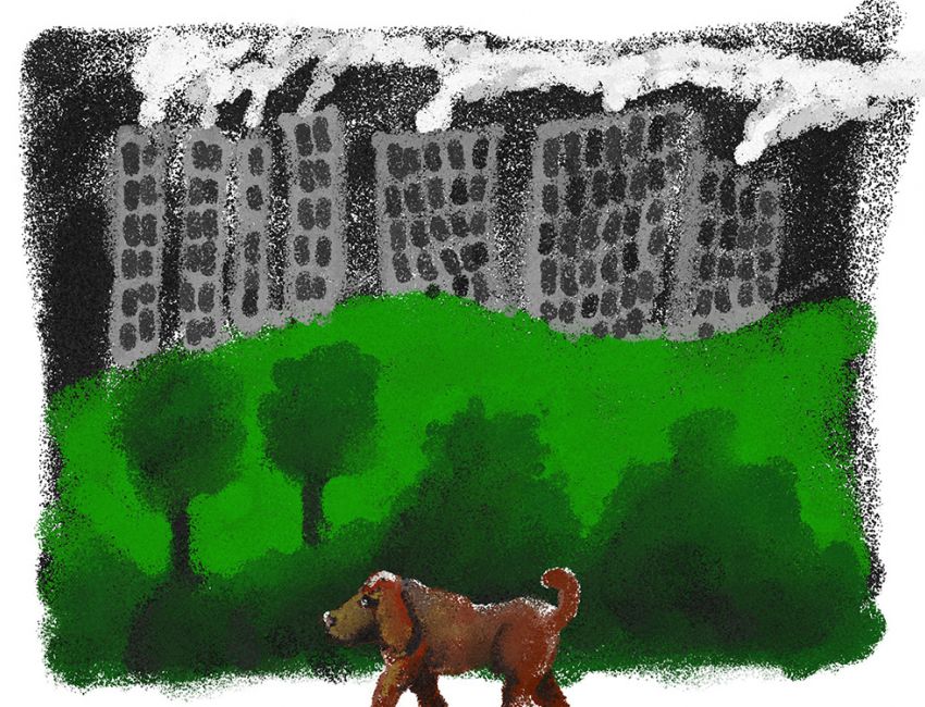 1000 chien dans la ville